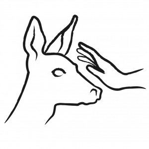 Hotel_Huerlander_Icons_streichelzoo-11